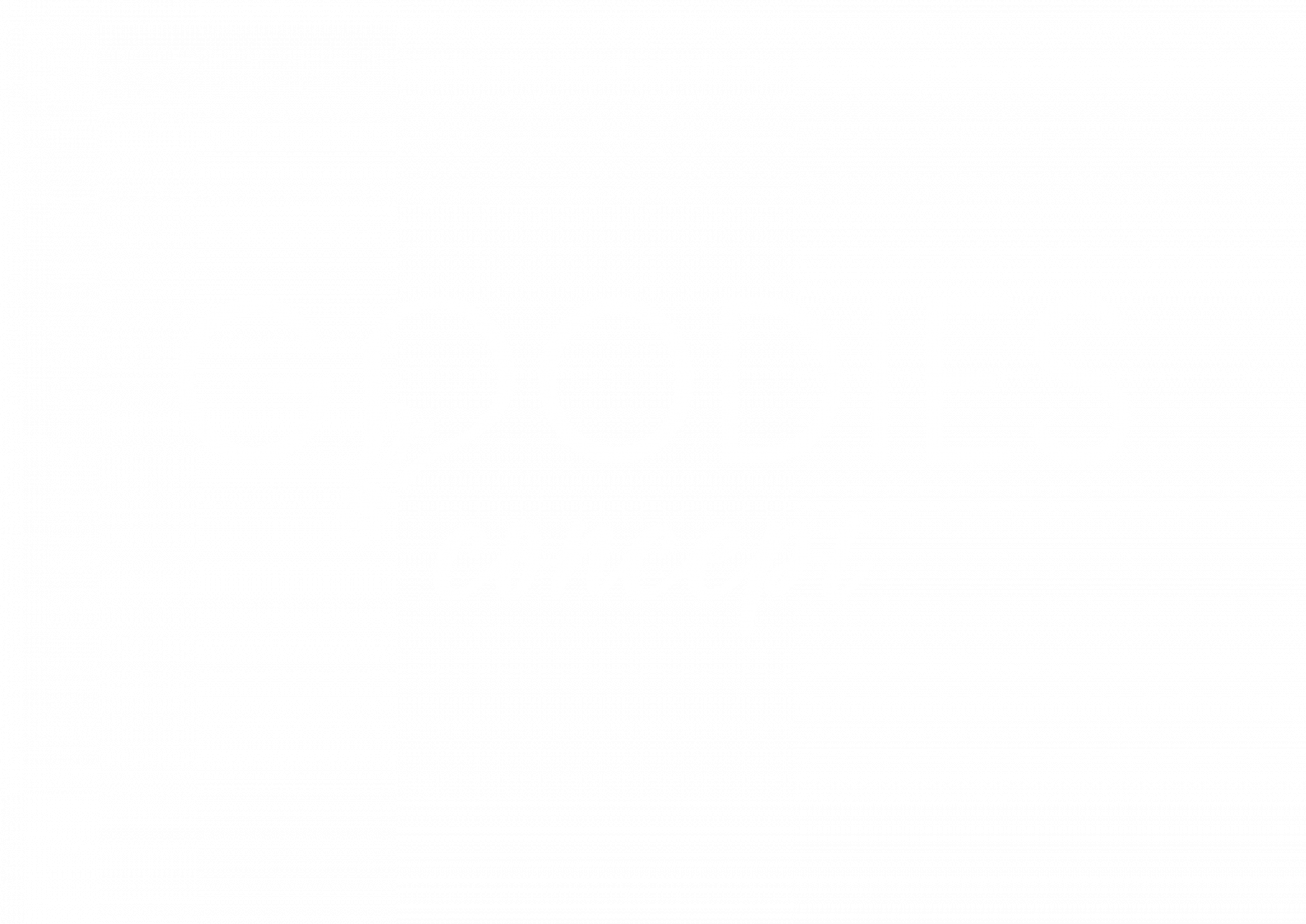 GOODIES CONCEPT